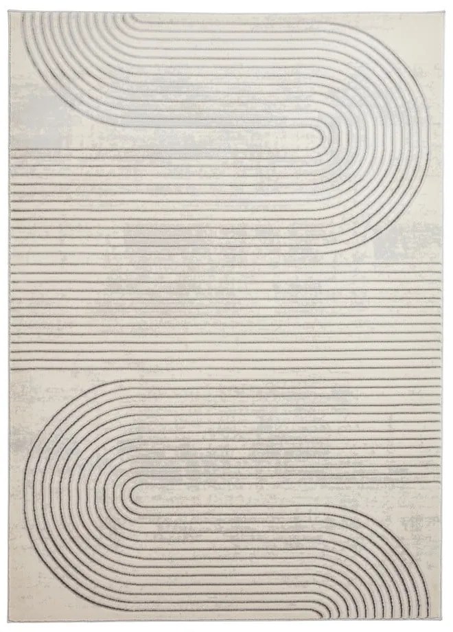 Covor gri/bej 220x160 cm Apollo - Think Rugs