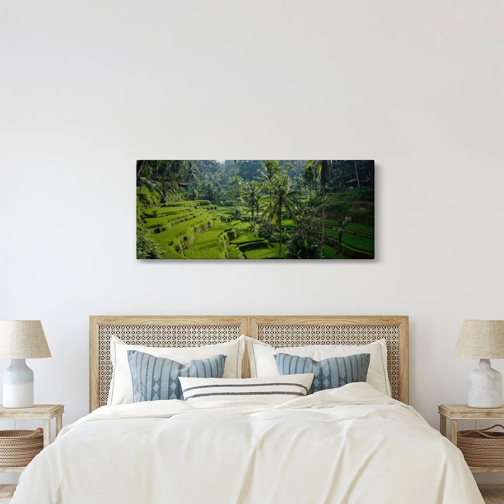 Tablou cu terasele cu orez Tegalalang, Bali (120x50 cm)