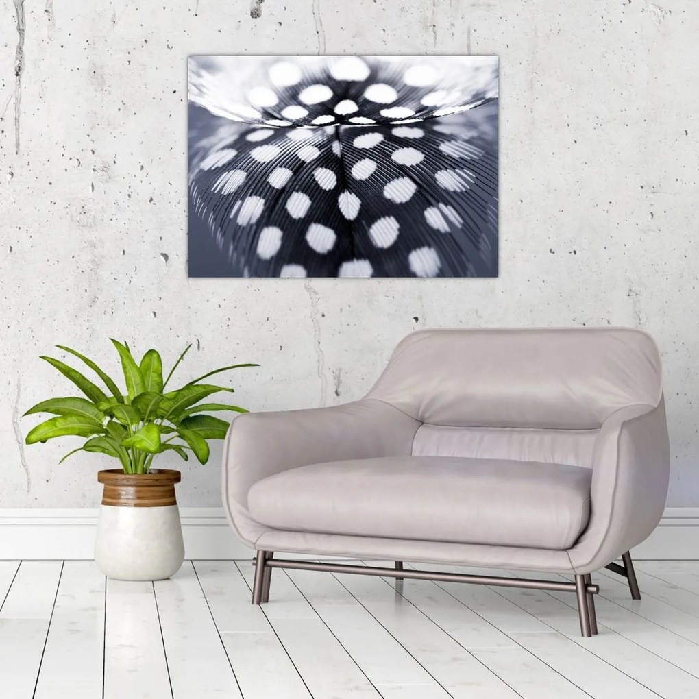 Tablou - Pană (70x50 cm)