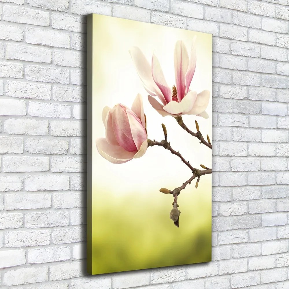 Imprimare tablou canvas Flori magnolia