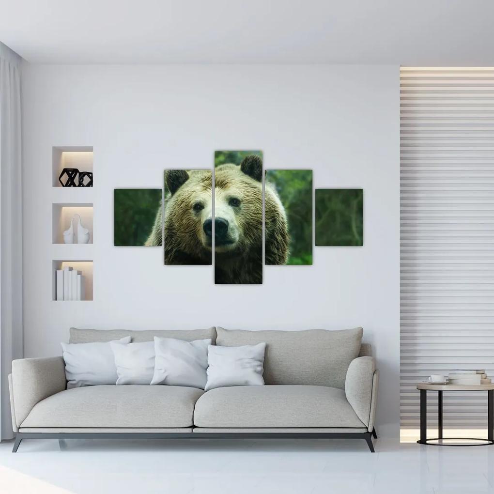 Tablou cu ursul (125x70 cm), în 40 de alte dimensiuni noi