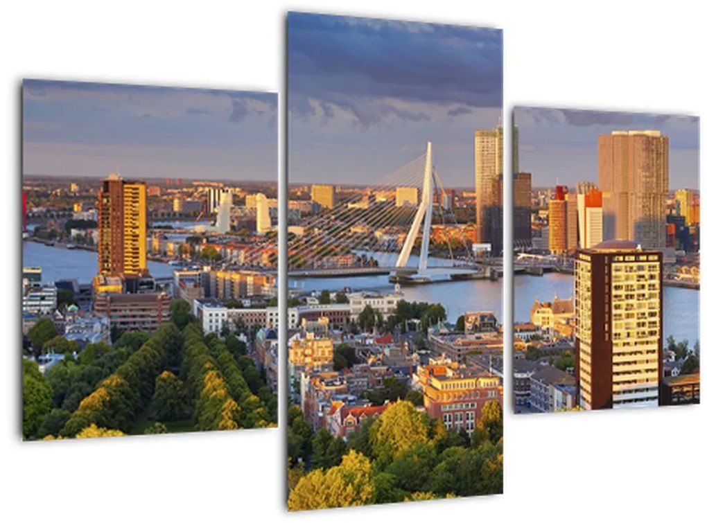 Tablou - Panorama Rotterdamului, Țările de Jos (90x60 cm)