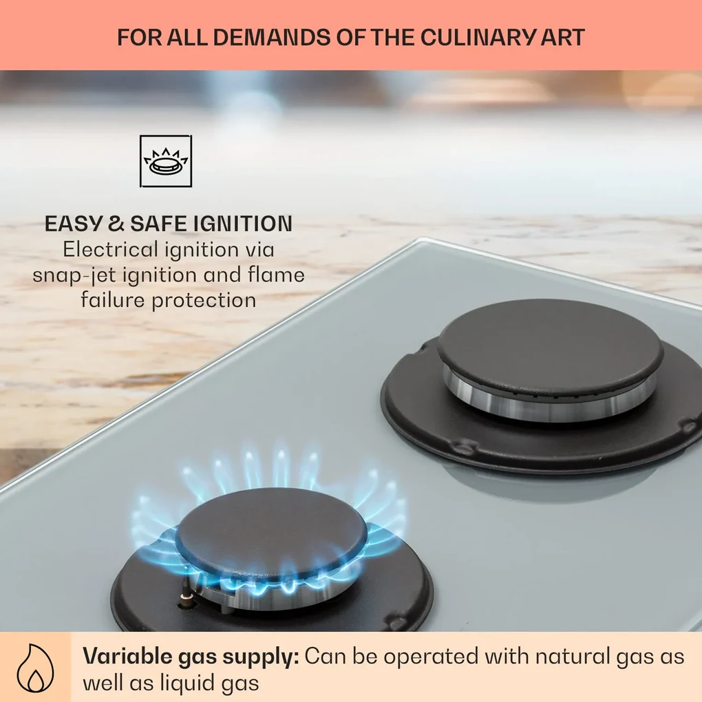 Firetale, plită cu gaz, 2 arzătoare, arzătoare din aluminiu, gaz natural/propan, inclusiv furtun și reductor de presiune