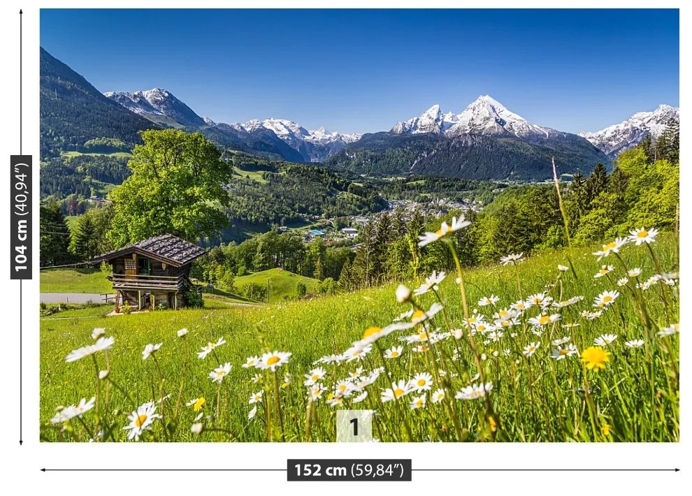 Fototapet Munții Bavaria