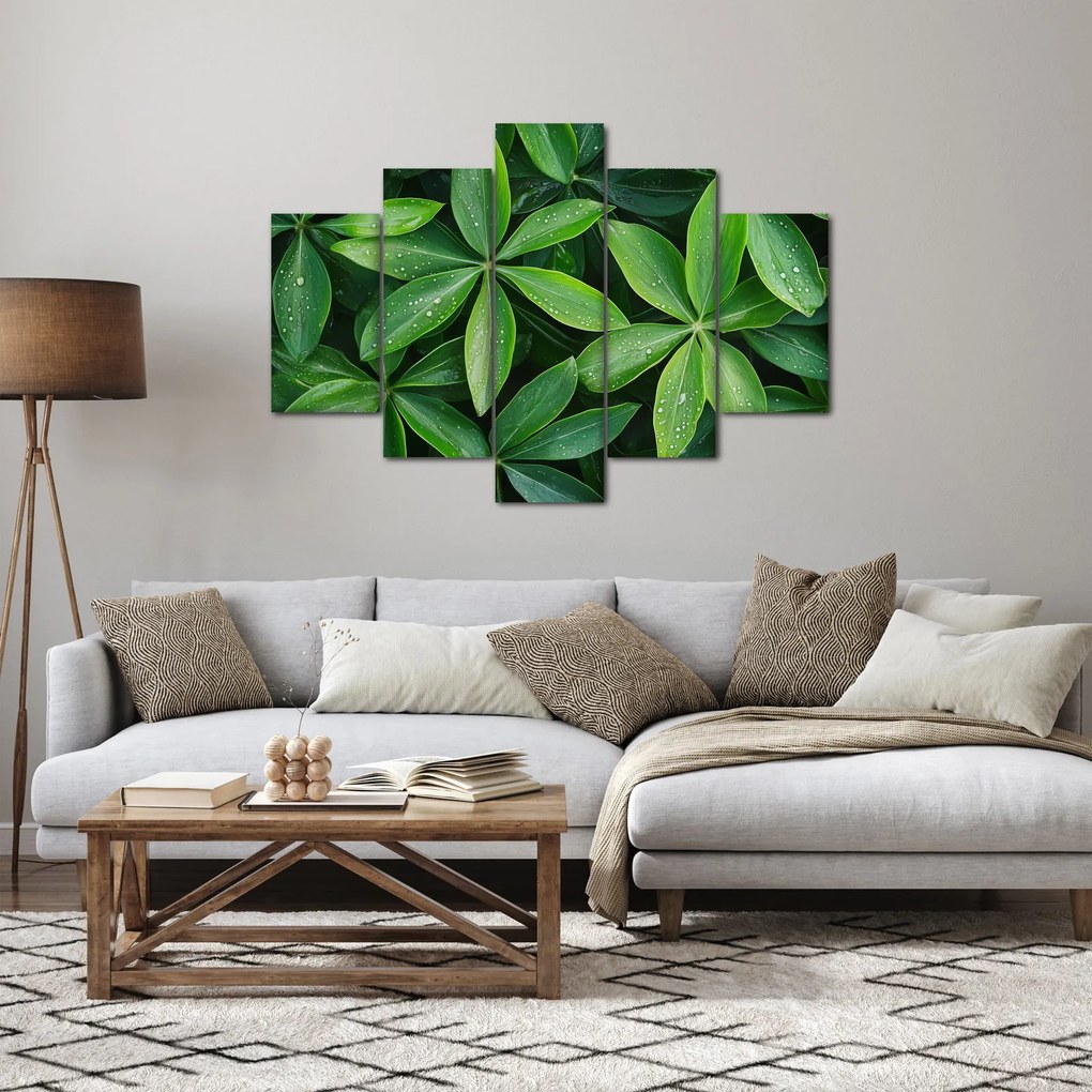 Tablou - Frunze cu picături de rouă (150x105 cm)