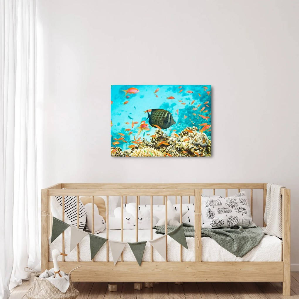 Tablou lumii submarine (70x50 cm)