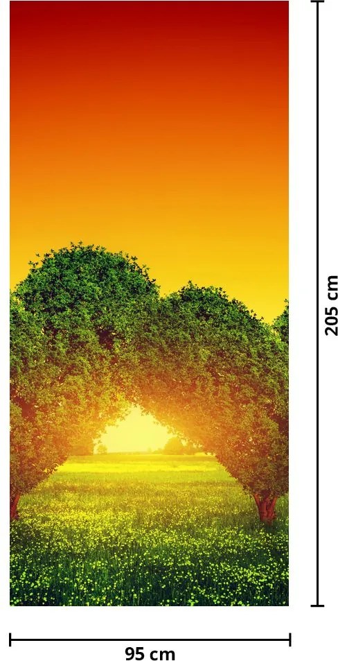 Fototapet pentru ușă - Inimă în coroana copacului (95x205cm)