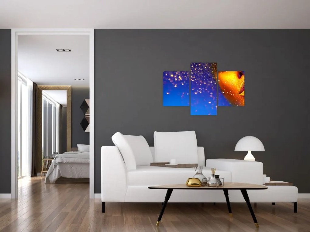 Tablou - Body art, combinație auriu-albastru (90x60 cm)