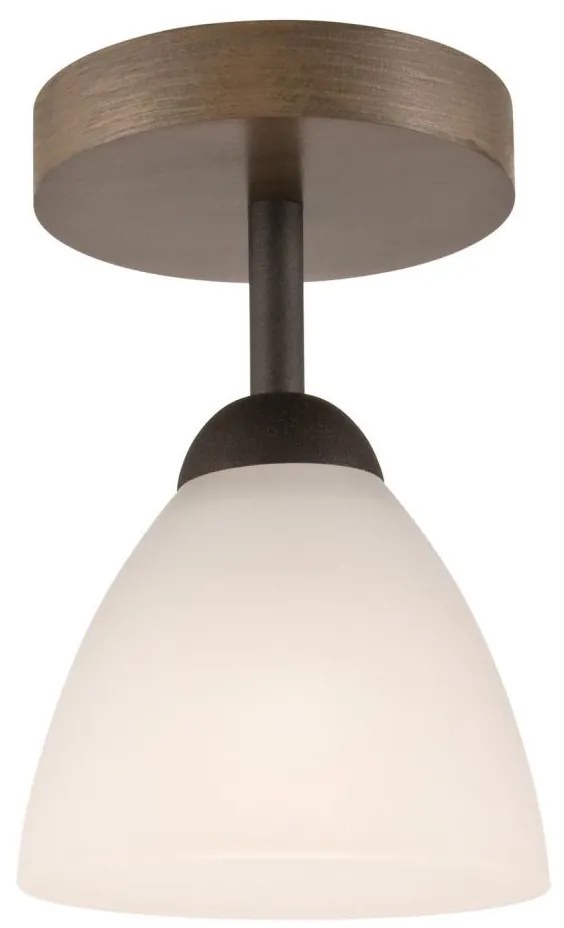 Lustr ADRIANO 1xE27/60W/230V, přisazený model