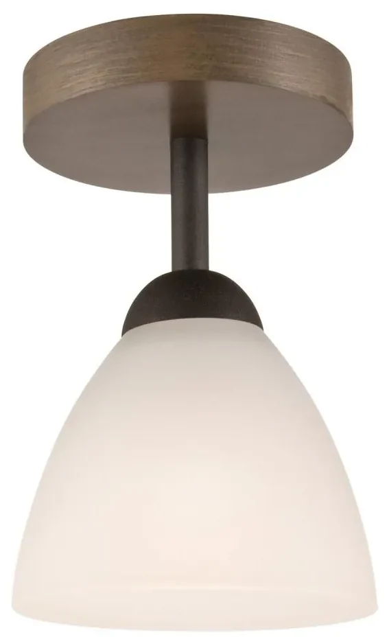 Lustr ADRIANO 1xE27/60W/230V, přisazený model