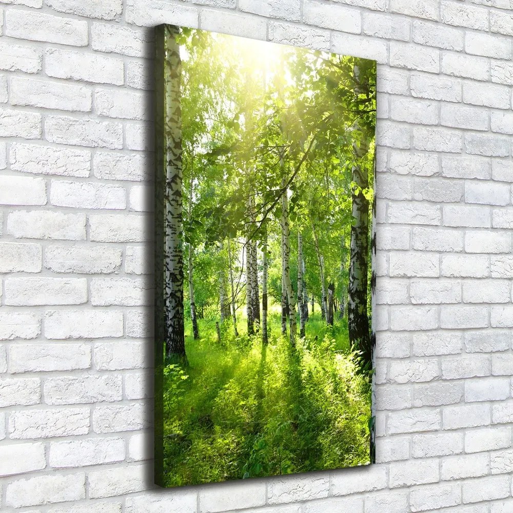 Print pe canvas Pădurea de mesteacăn
