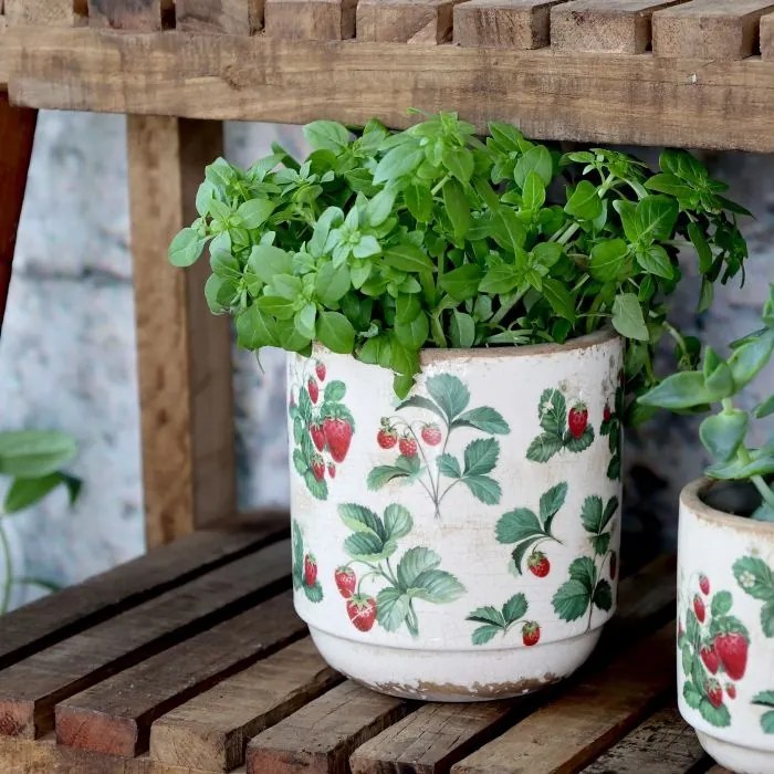 Ghiveci din ceramică crem cu model căpșuni „Fraises”, H13/D13 cm