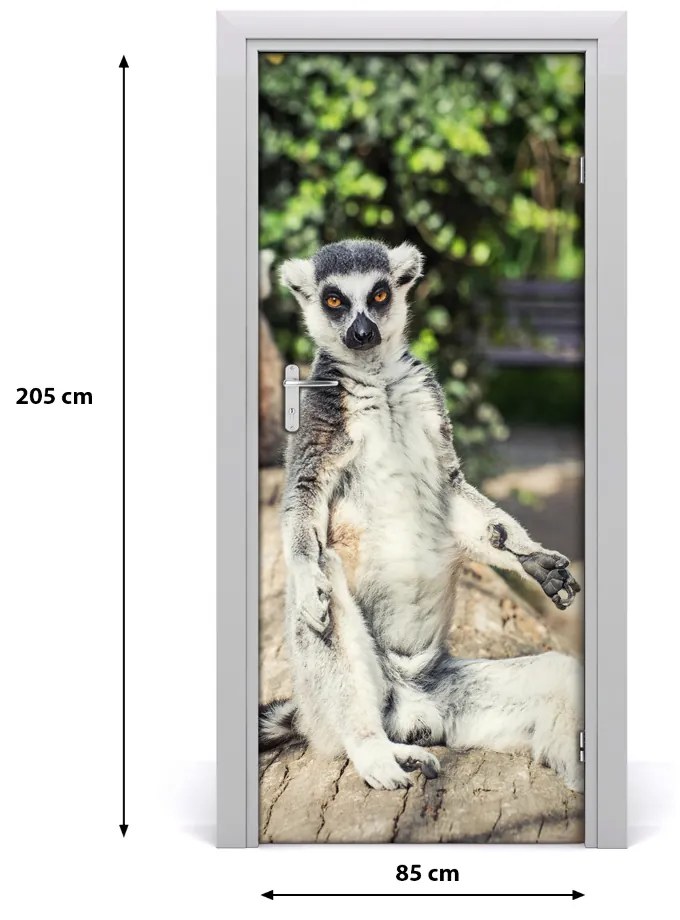 Autocolante pentru usi perete lemur