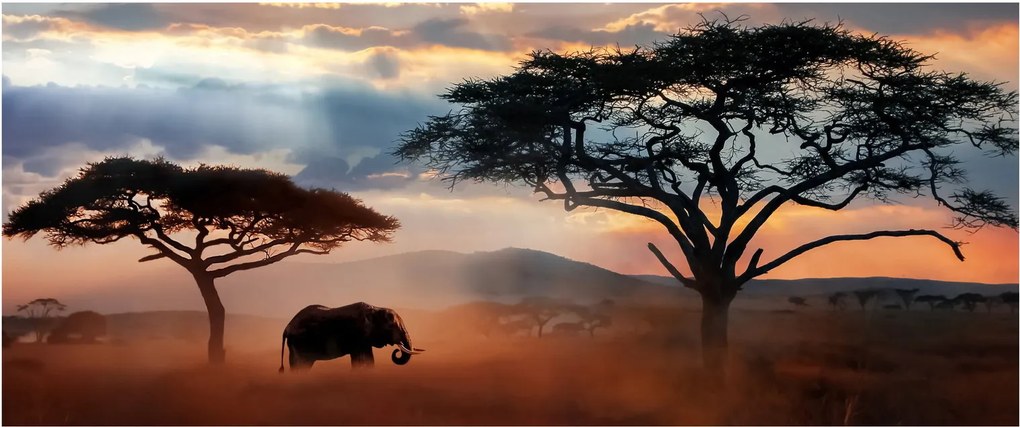 Tablou - Parcul Național Serengeti, Tanzania, Africa (120x50 cm)