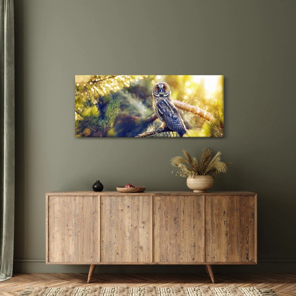Tablou - Bufniță în copac (120x50 cm)
