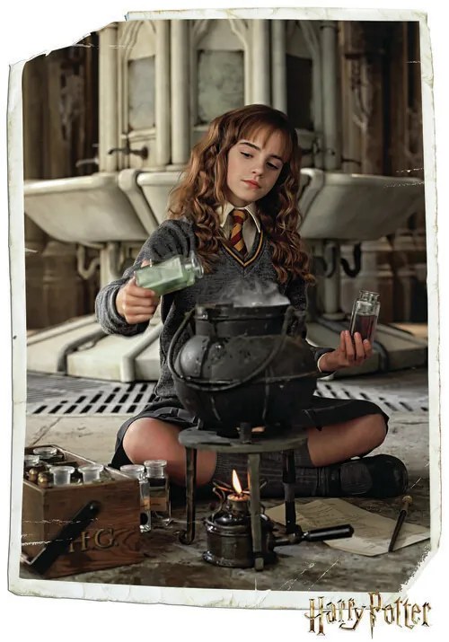 Poster Harry Potter - Hermione Granger