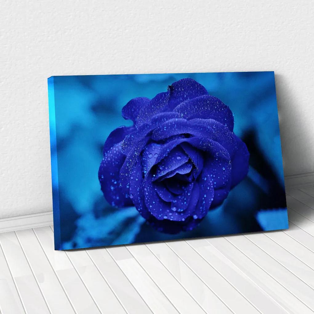 Tablou Canvas -Trandafir Albastru 60 x 95 cm