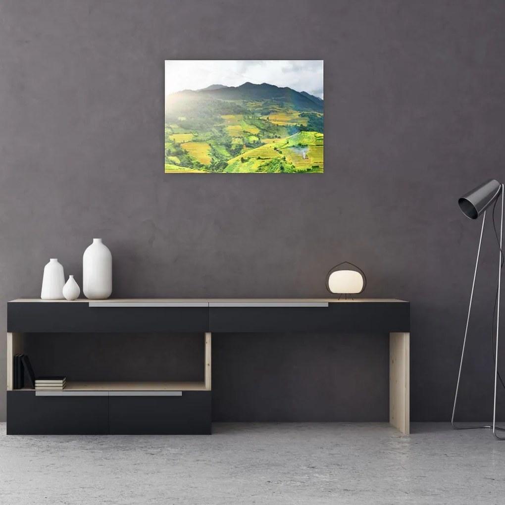 Tablou pe sticlă plantație (70x50 cm)