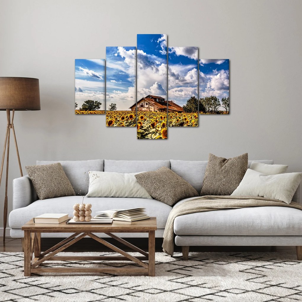 Tablou cu câmp de floarea soarelui (150x105 cm)
