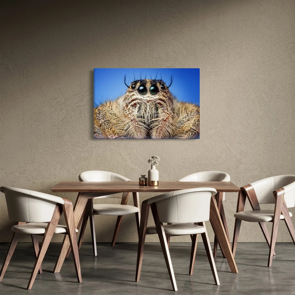 Tablou cu detalii a unui pâianjen (90x60 cm)