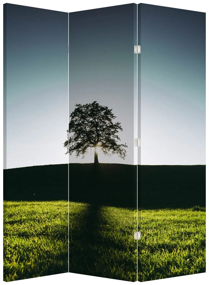 Paravan - Copac (126x170 cm)