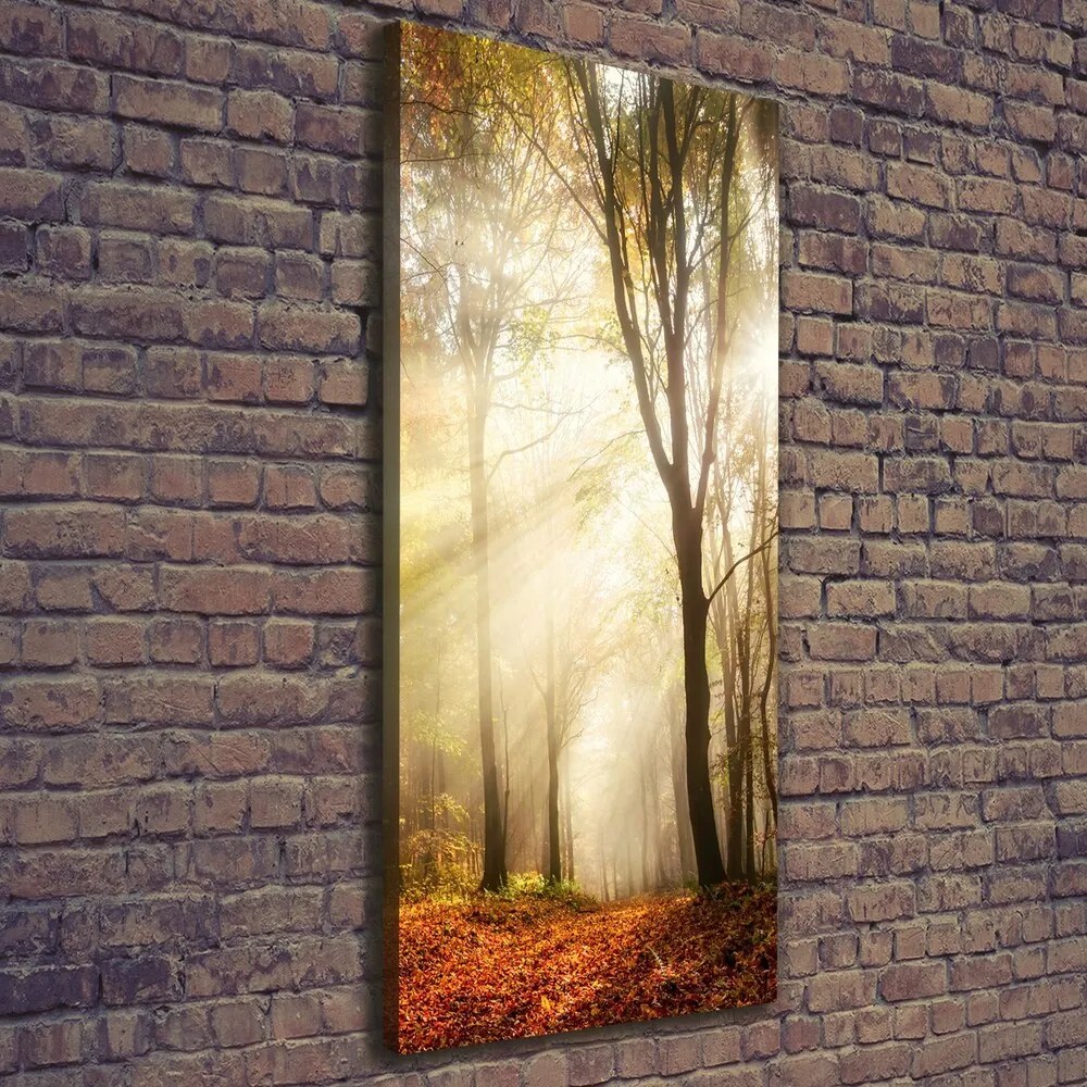 Tablou pe pânză canvas Pădure în toamna
