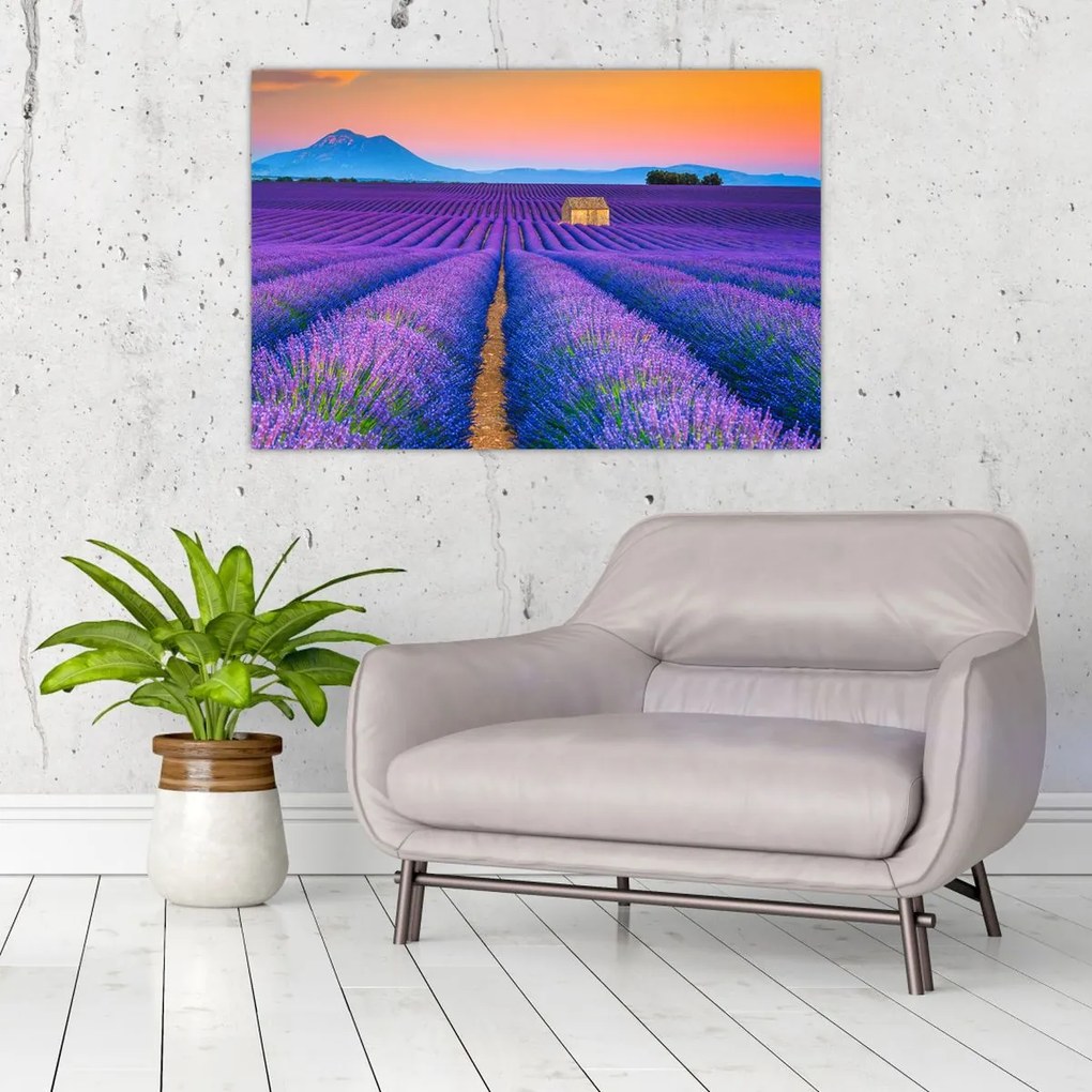 Tablou - Câmp de levănțica (90x60 cm)