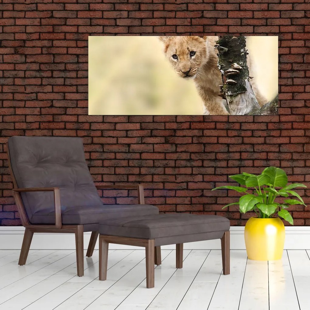 Tablou cu pui de leu (120x50 cm)