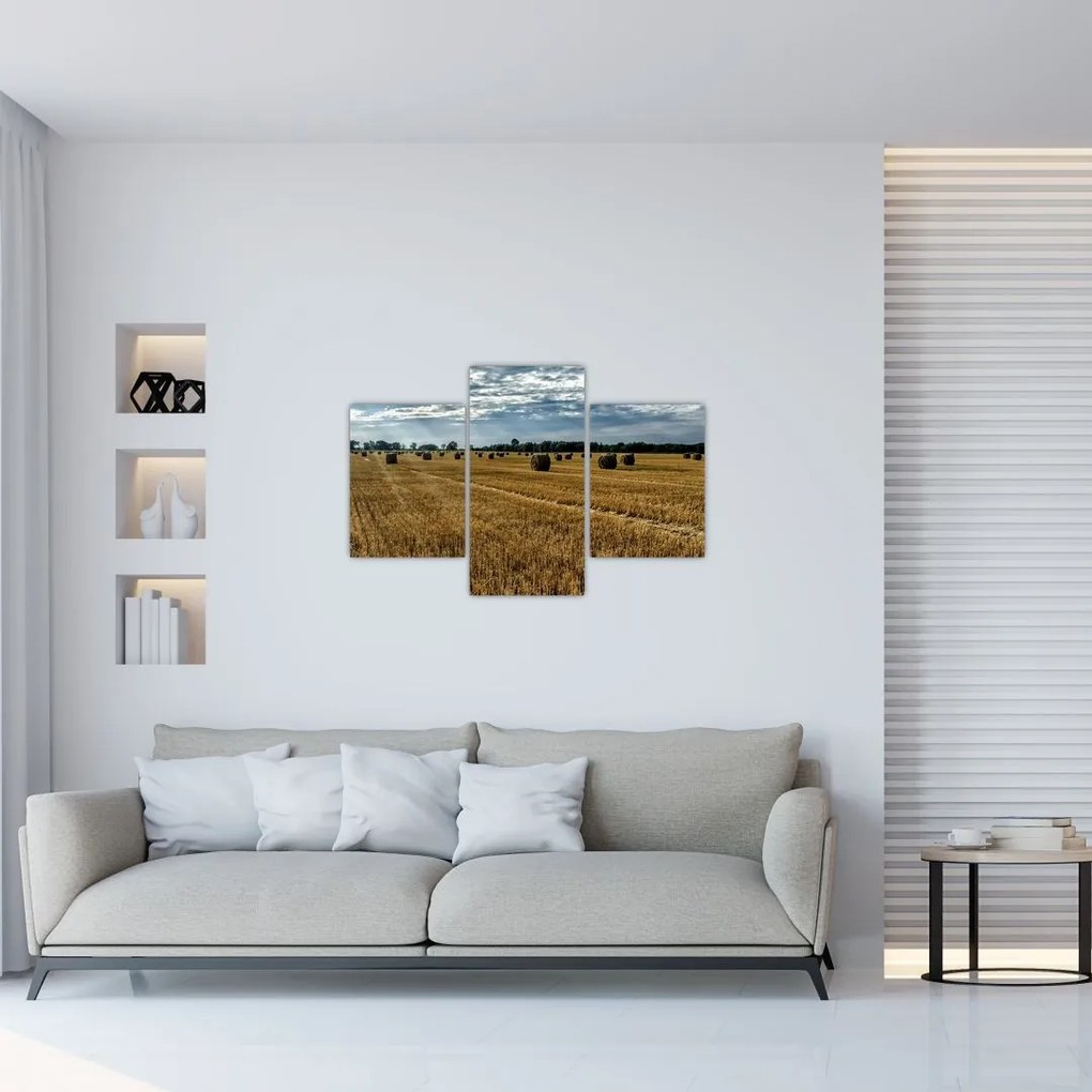 Tablou cu câmp recoltat (90x60 cm)