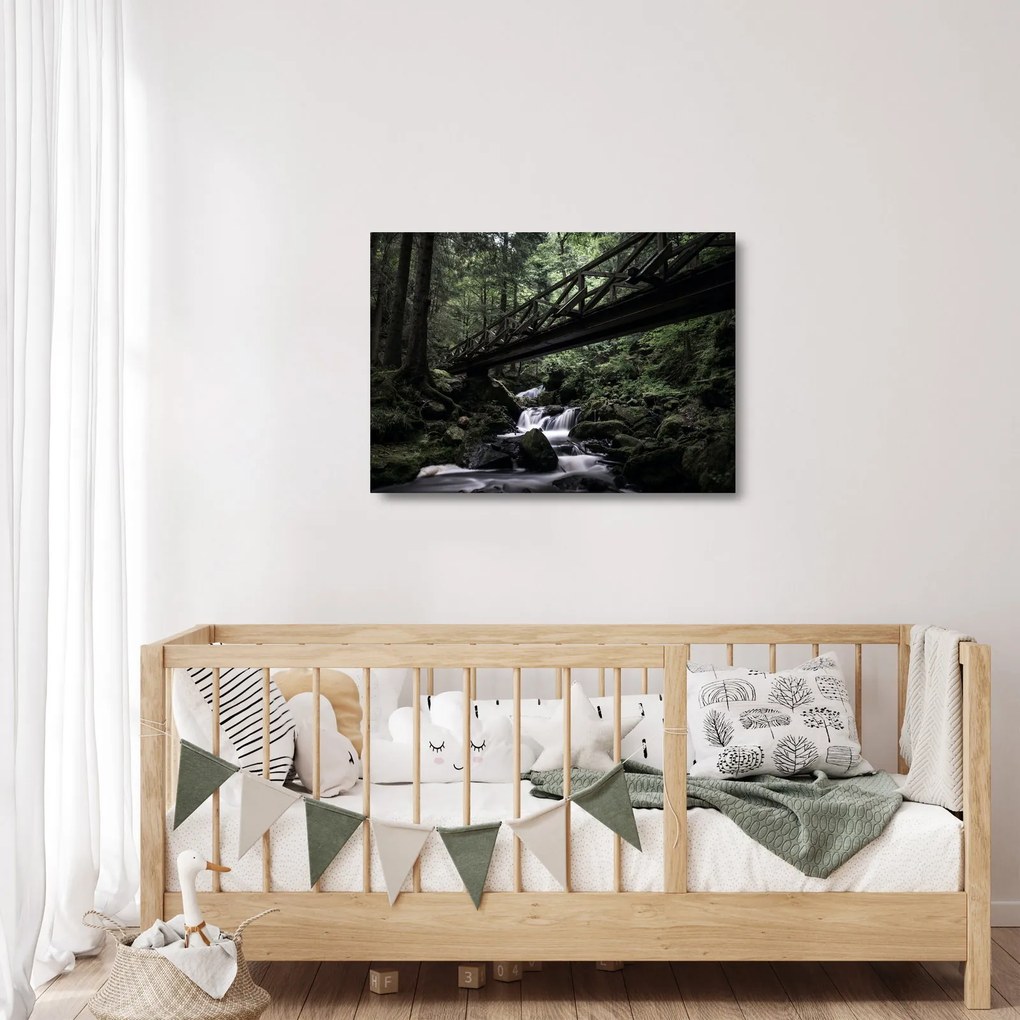 Tablou pe sticlă din pădurea neagră (70x50 cm)