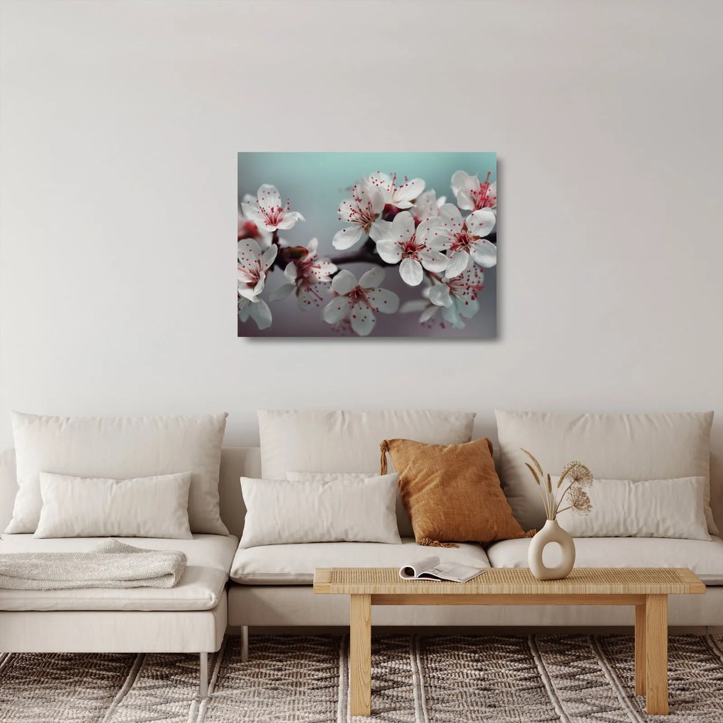 Tablou pe sticlă cu floare - roșie (70x50 cm)