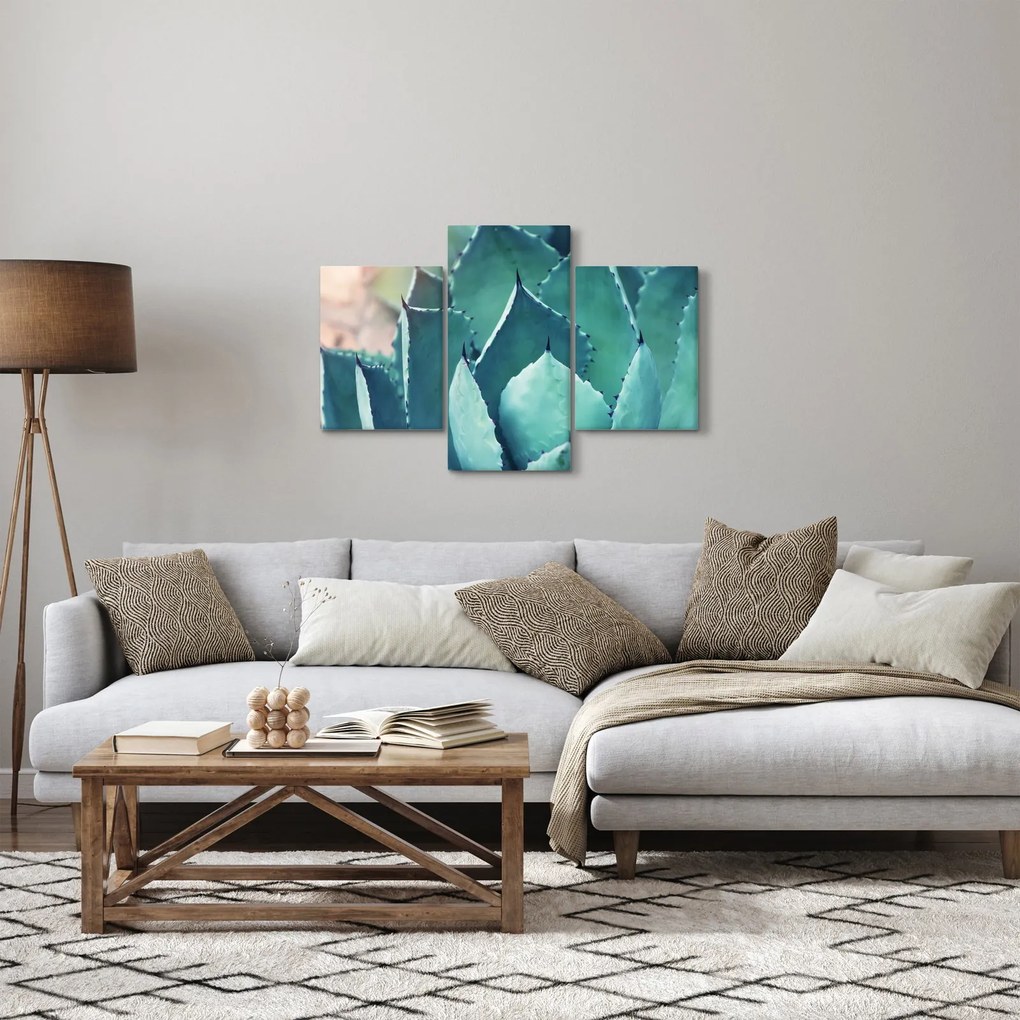 Tablou - Suculent (90x60 cm)