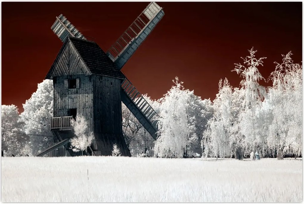 Tablou cu moară (90x60 cm)