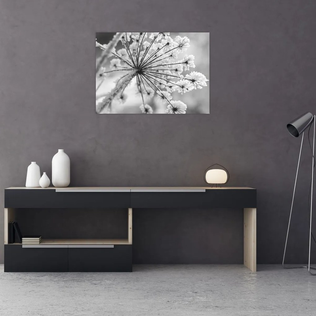 Tablou pe sticlă - Floare în timpul iernii (70x50 cm)