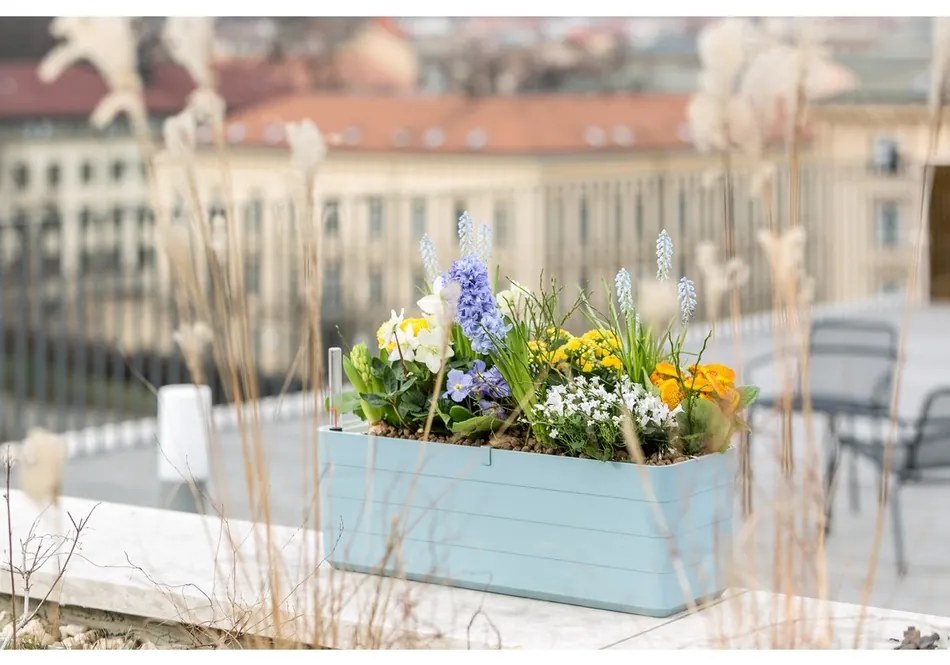 Ghiveci cu auto-irigare Berberis 60, grialbastru + alb, 60 cm