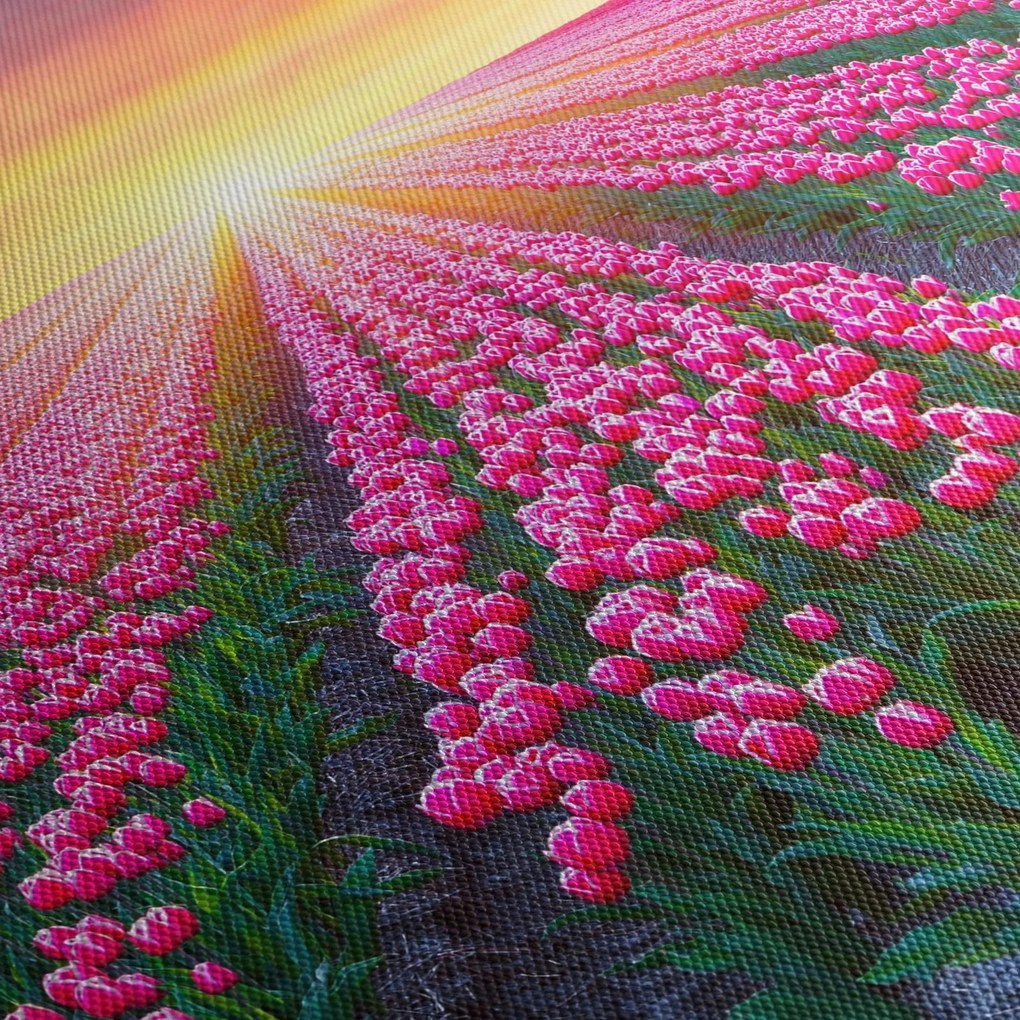 Tablou cu câmp de lalele cu soare (90x60 cm)