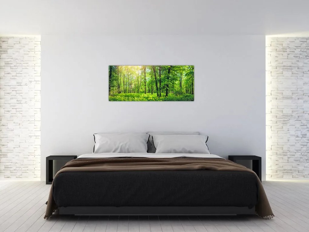 Tablou - Pădurea cu frunze de primăvară (120x50 cm)