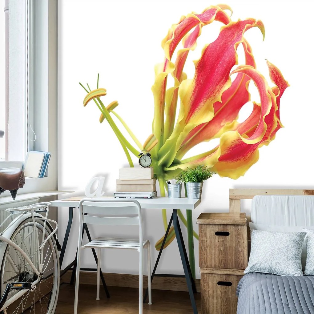 Fototapet - Flori (152,5x104 cm)