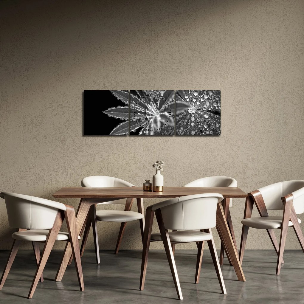 Tablou - Frunze cu picături (cu ceas) (90x30 cm)