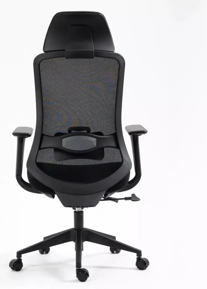 Scaun de birou Ergon negru