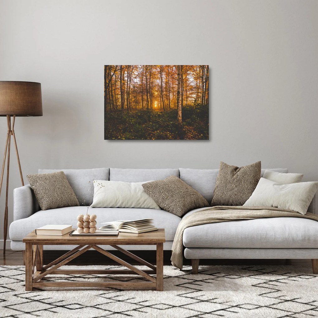 Tablou pe sticlă - Pădurea toamna (70x50 cm)