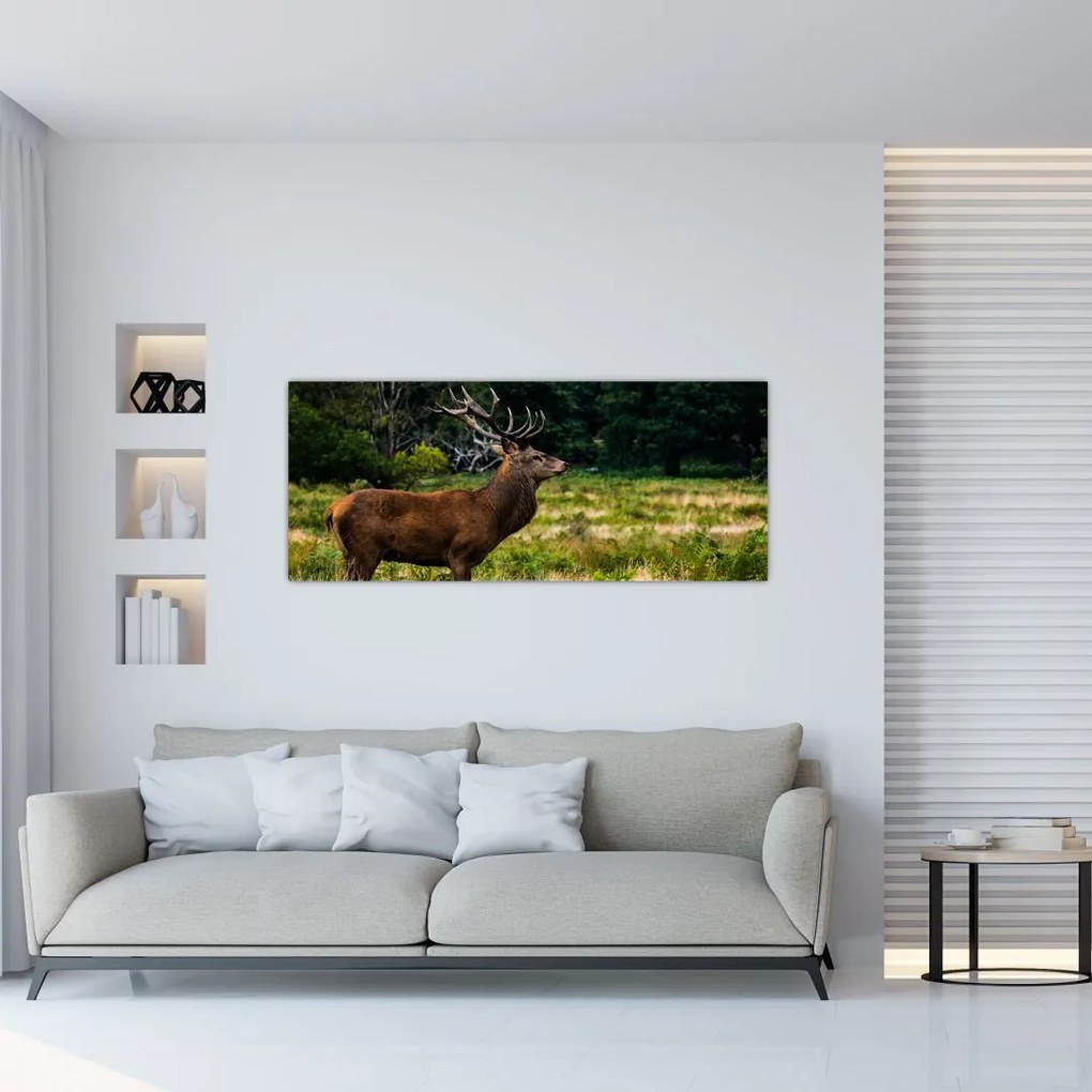 Tablou cu cerb (120x50 cm)