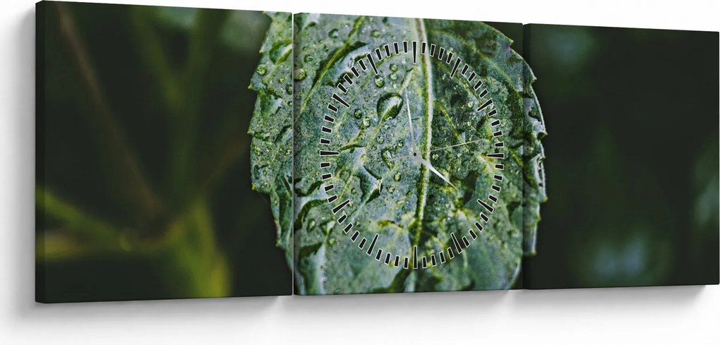 Tablou - picături pe frunză (cu ceas) (90x30 cm)