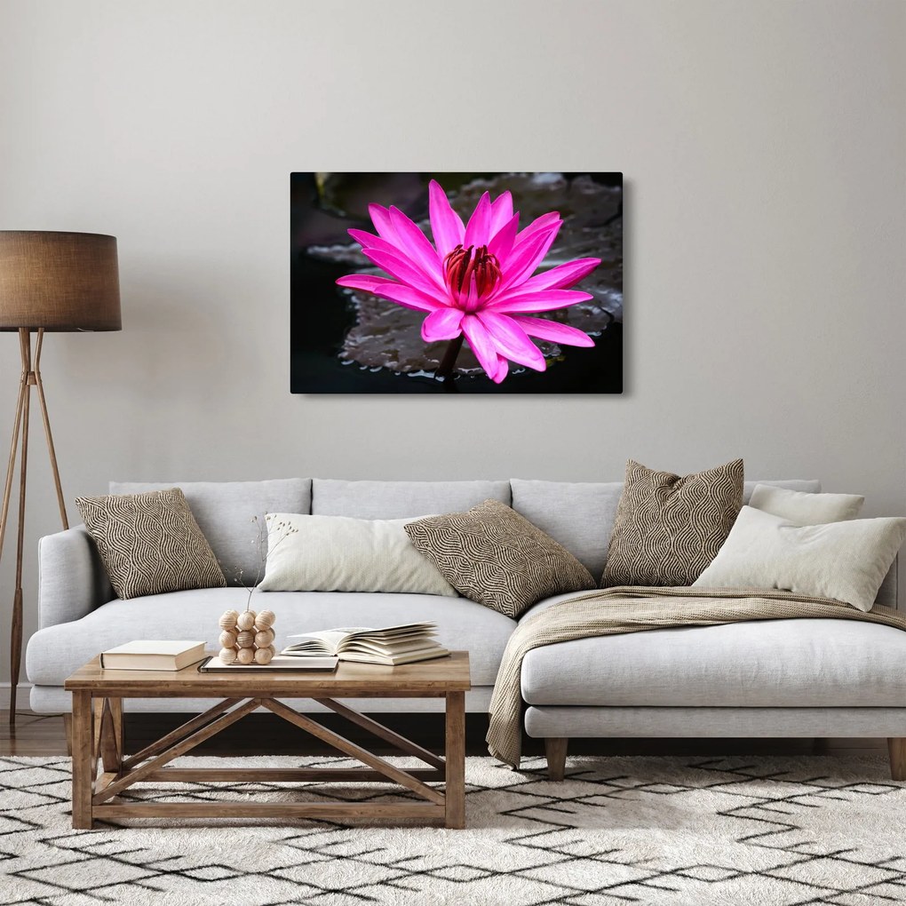 Tablou - floarea roz (90x60 cm)