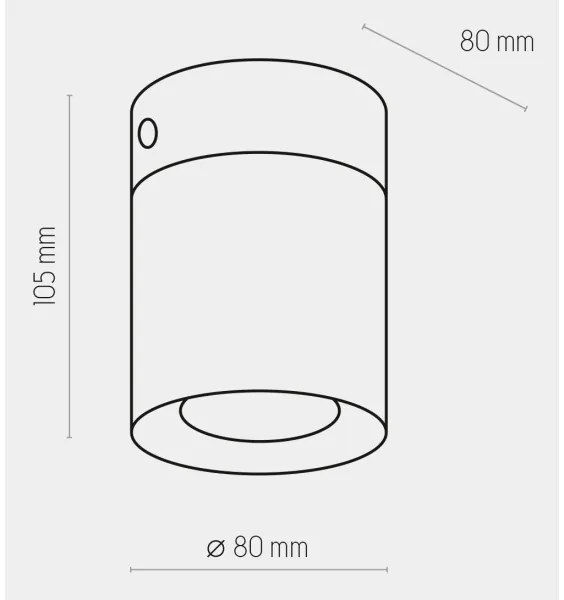 Spot VICO WHITE 1xGU10/10W/230V