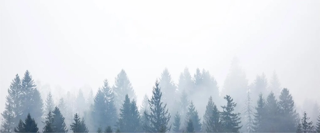 Tablou - Pădure cețoasă (120x50 cm)