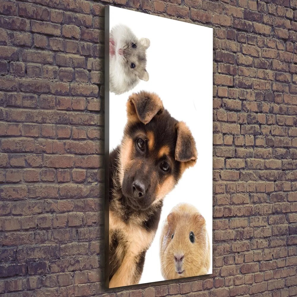 Print pe pânză Animale de companie
