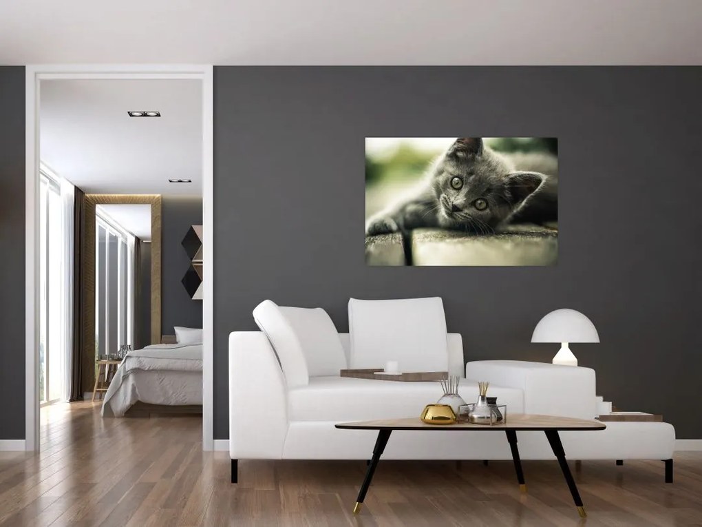 Tablou cu pisicuța (90x60 cm)