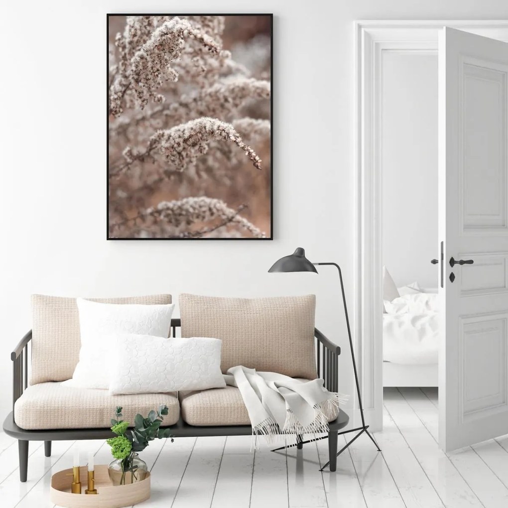 Poster - Florile plantei (A4)