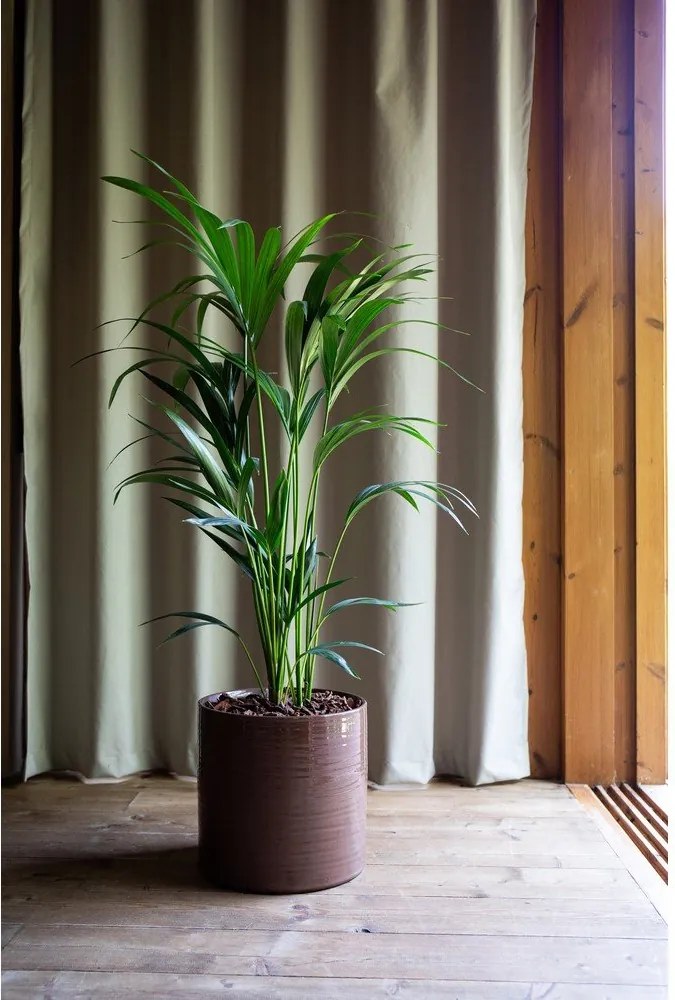 Ghiveci decorativ din ceramică handmade ø 18 cm Fortuna – Artevasi